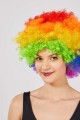 Rengarenk Kıvırcık Afro Bonus Peruk Rengarenk Kıvırcık Afro Bonus Peruk (Lisinya)