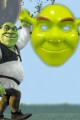 Yeşil Shrek Maskesi 21x25 cm