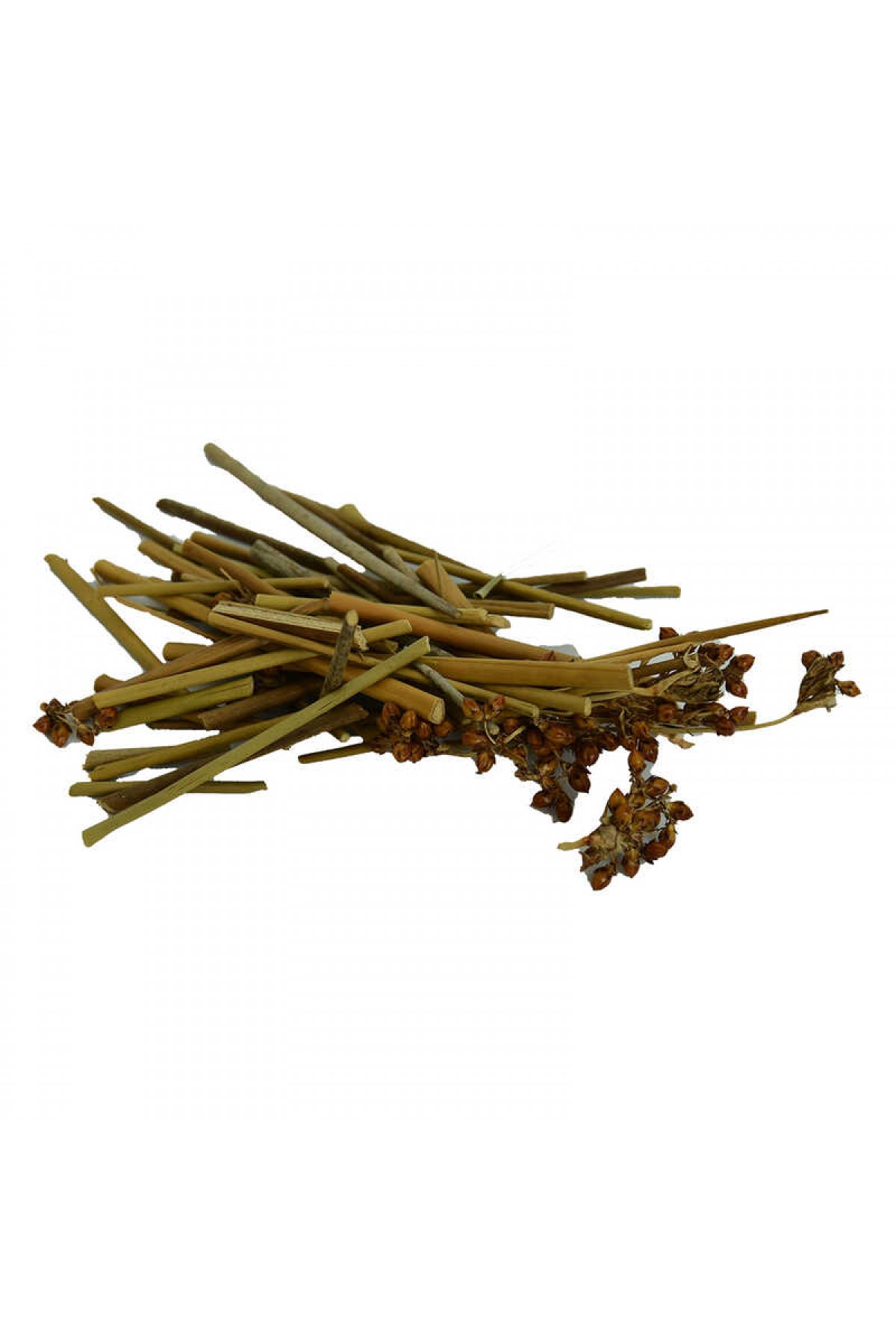 Lisinya214 Kayışkıran Otu Doğal 100 Gr Paket Lisinya214 Kayışkıran Otu Doğal 100 Gr Paket