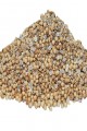 Lisinya214 Kişniş Doğal Tane 1000 Gr Paket