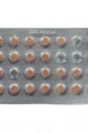 Shiffa Home Vitamin B12-Ginkgo Biloba 28 Tablet 150 Mg Lisinya214 Shiffa Home Vitamin B12-Ginkgo Biloba 28 Tablet 150 Mg