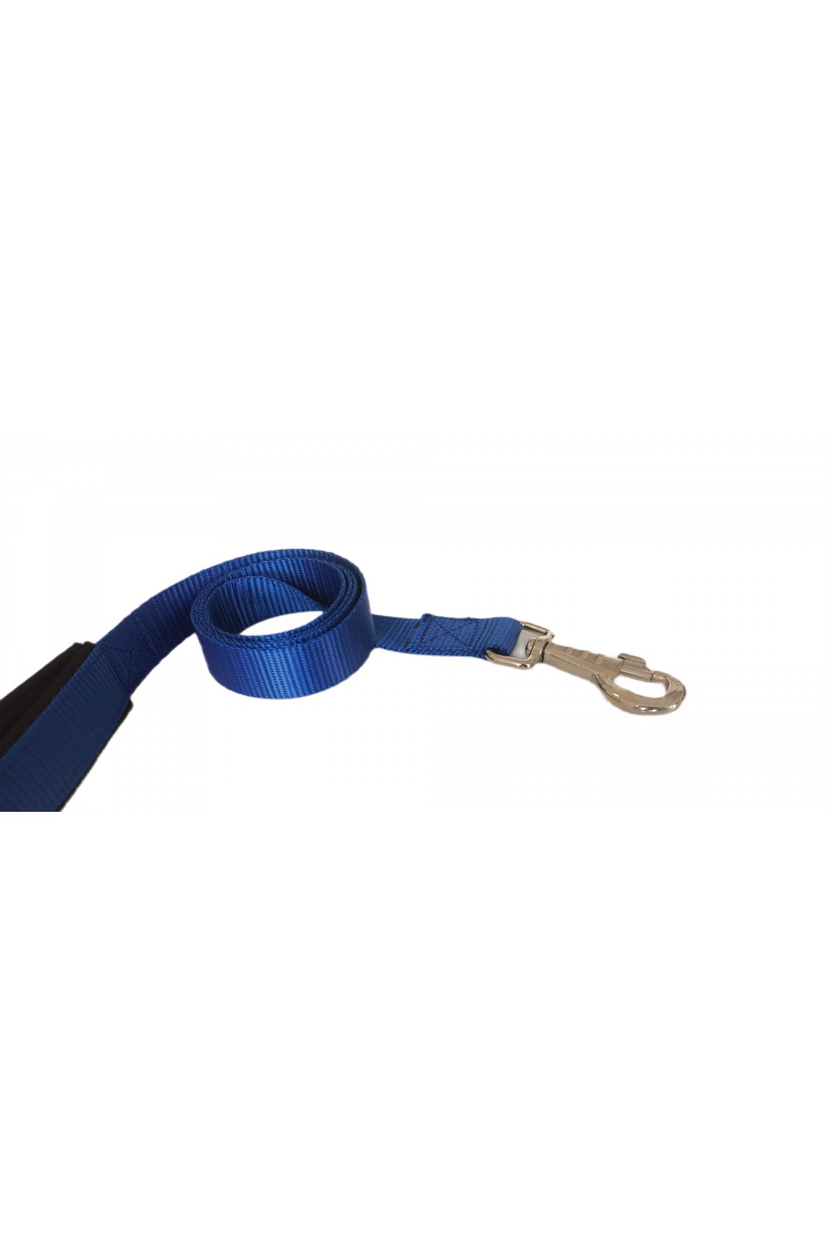 Lisinya205  Köpek Gezdirme Kayışı 1,5 cm x 115 cm Mavi