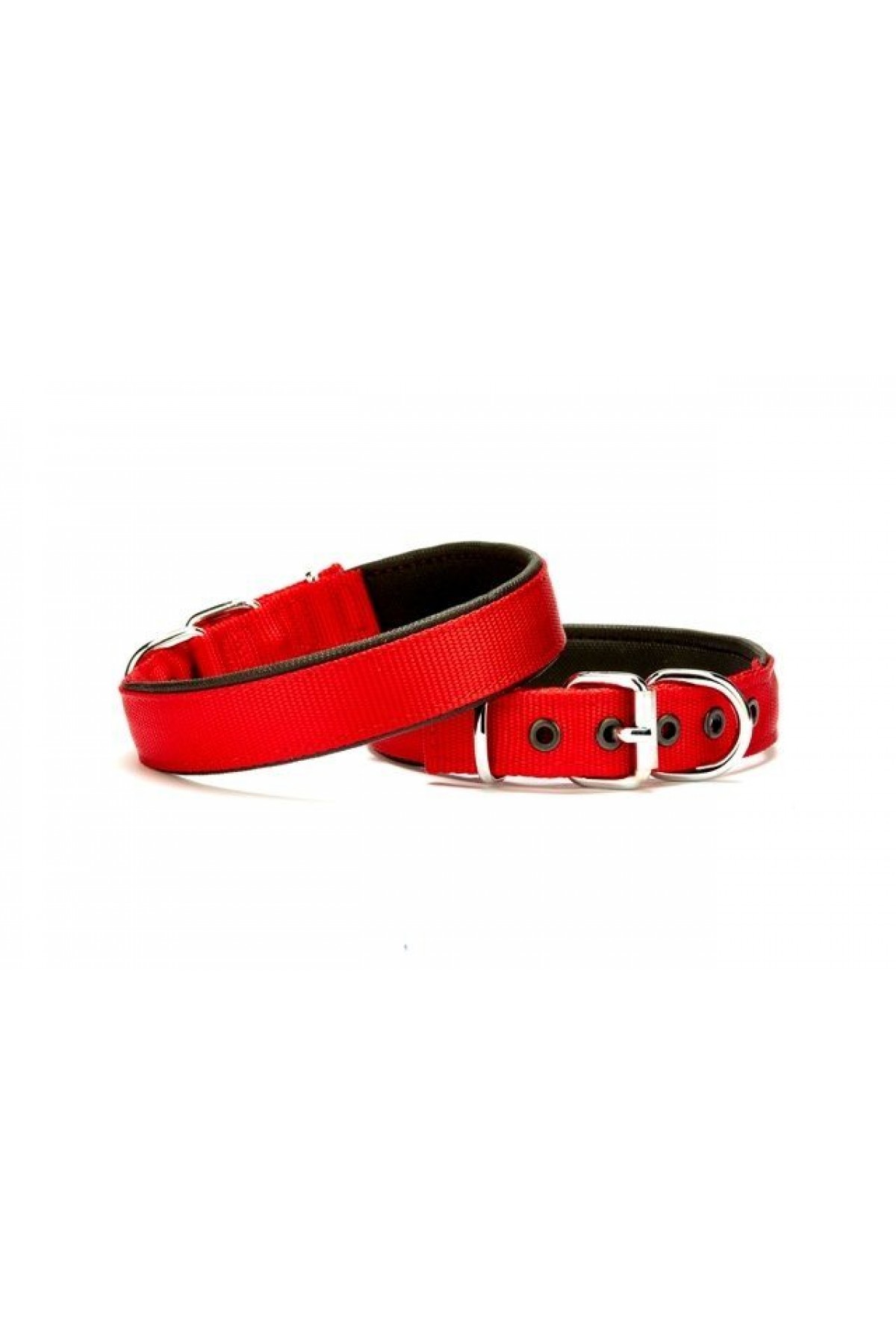 Lisinya205  Softlu Köpek Boyun Tasması 2 cm x 40 cm Kırmızı