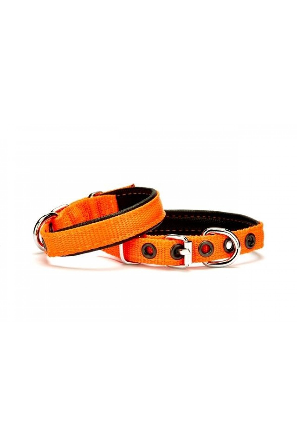 Lisinya205  Softlu Köpek Boyun Tasması 1,5 cm x 35 cm Turuncu