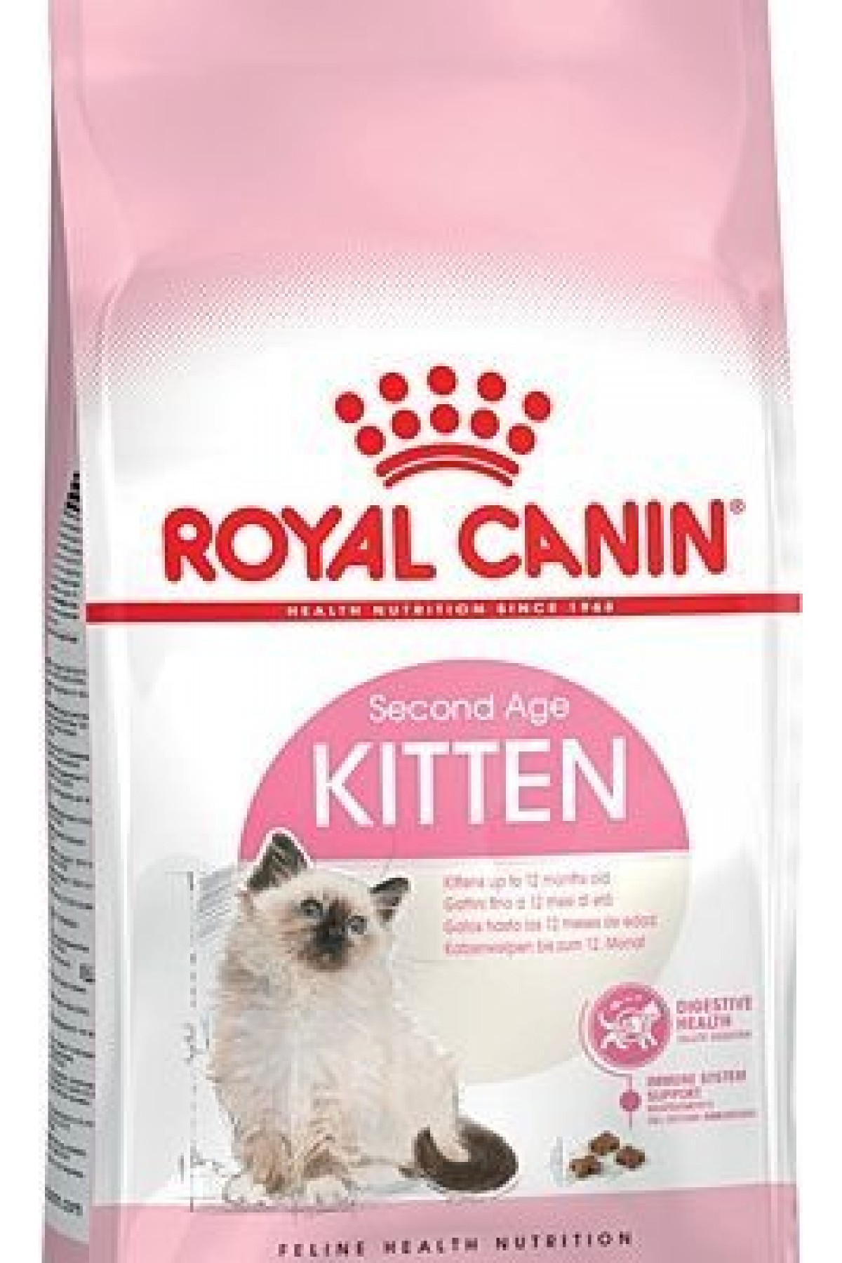 36 Yavru Kedi sı 2 KG 36 Yavru Kedi sı 2 KG