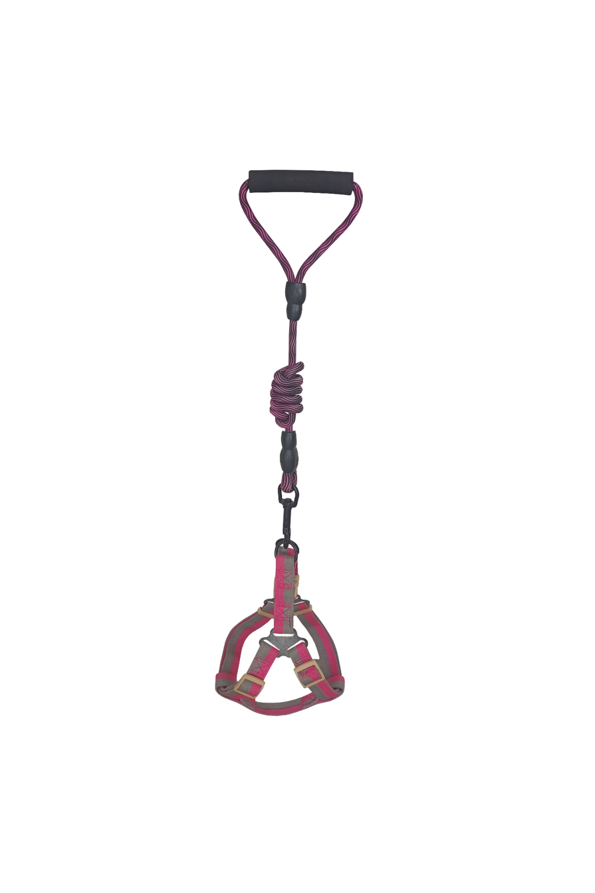 Lisinya205 Köpek Göğüs Tasma Seti Dalga Desenli 2 cm*40-58 cm Mor-Pembe