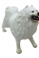 Soft Köpekler - Samoyed Cinsi Köpek  - E013 (Lisinya)