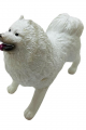 Soft Köpekler - Samoyed Cinsi Köpek  - E013 (Lisinya)