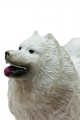 Soft Köpekler - Samoyed Cinsi Köpek  - E013 (Lisinya)