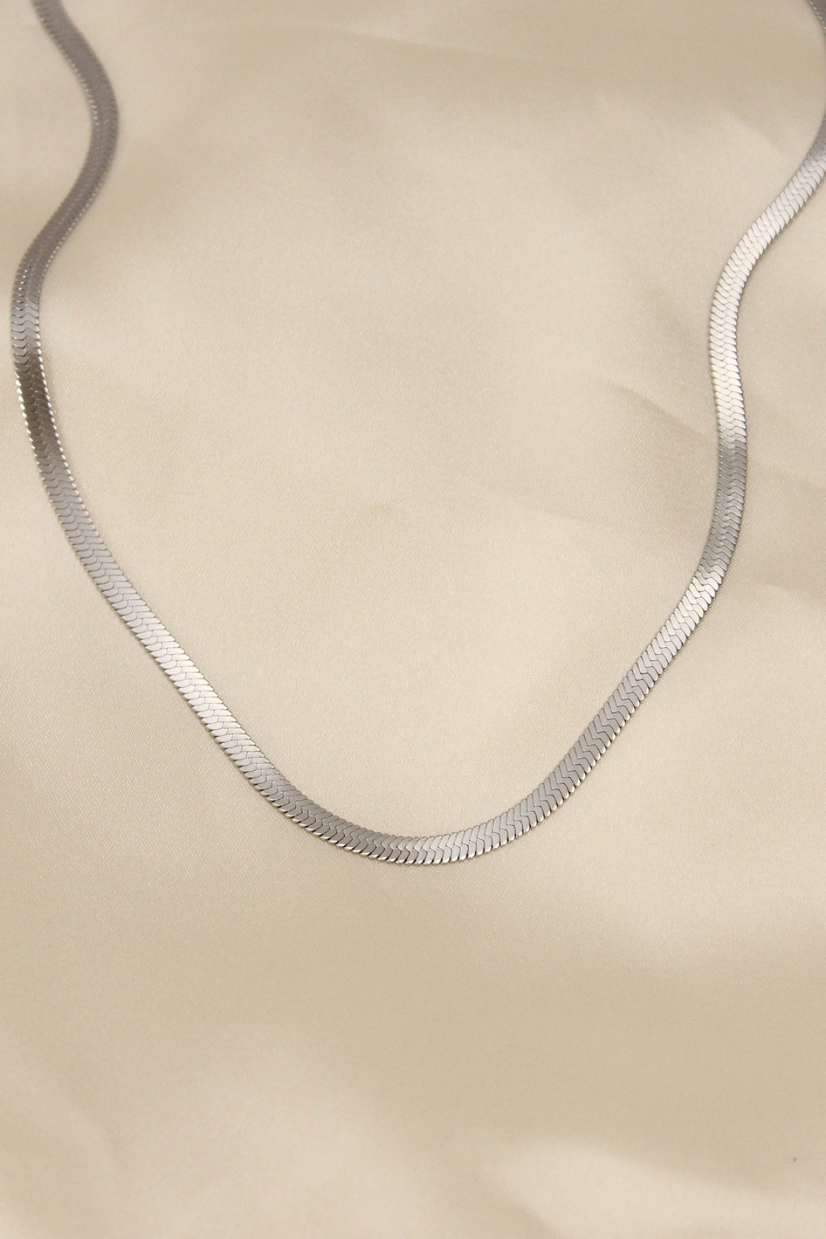 316L Çelik Silver Renk 45 cm İtalyan Zincir Model Kadın Kolye - Lisinya