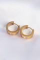316L Çelik Gold Renk Zirkon Taşlı Minimal Model Halka Küpe - Lisinya