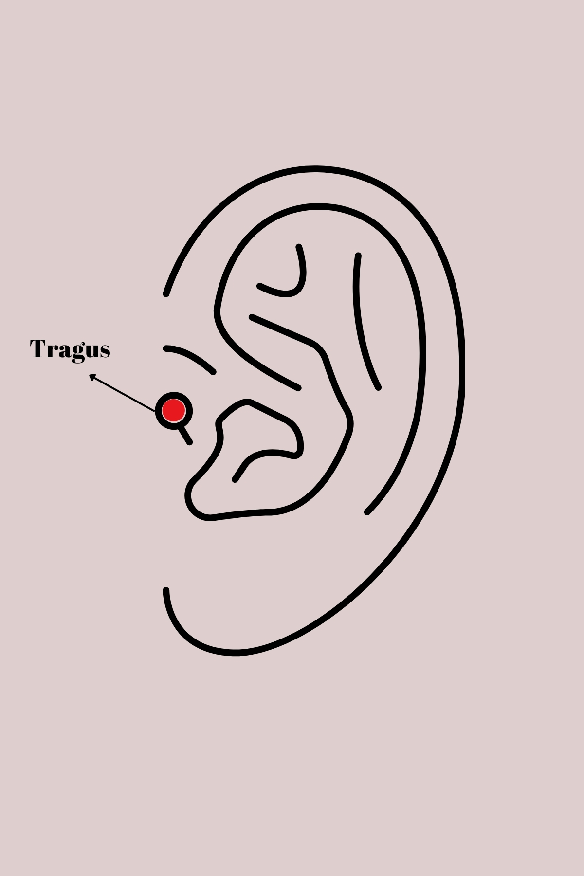316L Çelik Gold Renk Zirkon Taşlı Çiçek Tragus Piercing - Lisinya