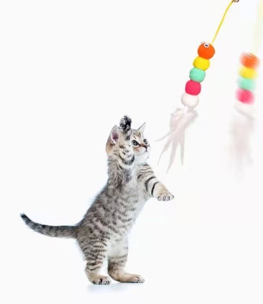 Pratik Elastik Kendinden Yapışkanlı Kedi Oyun Oltası ( Lisinya )