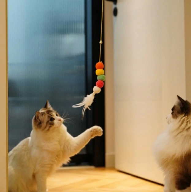 Pratik Elastik Kendinden Yapışkanlı Kedi Oyun Oltası ( Lisinya )