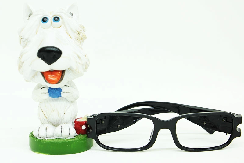 Gözlük Standı Köpek ( Lisinya )