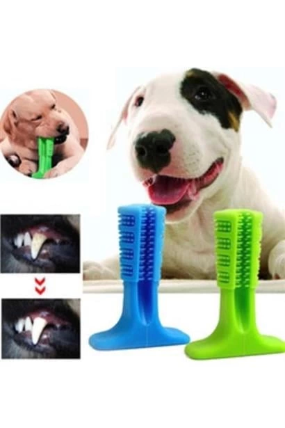 Köpek Diş Temizleyici Ve Kaşıyıcı Sağlıklı Küçük Boy Oyuncak ( Lisinya )