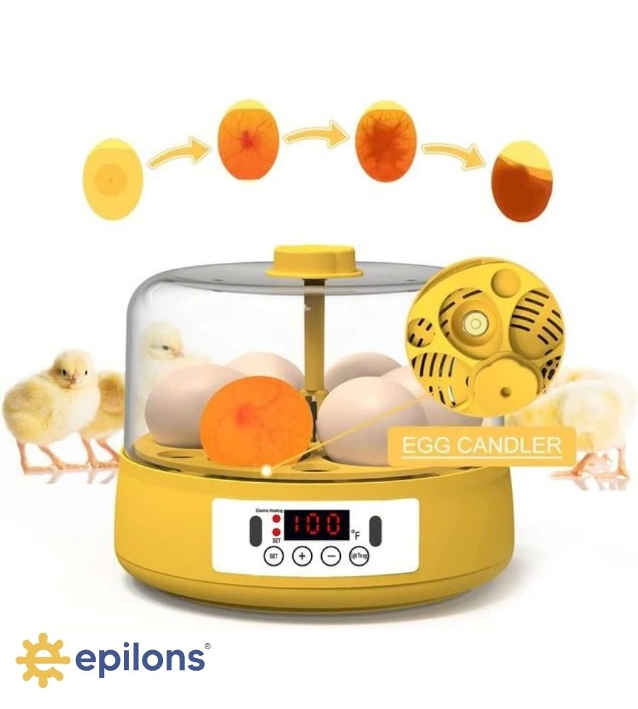 Mini Otomatik Ev Tipi Kuluçka: Elektrikli Tavuk Ve Kuş Kuluçka Makinesi 6 Yumurtalı Mx-6 ( Lisinya )