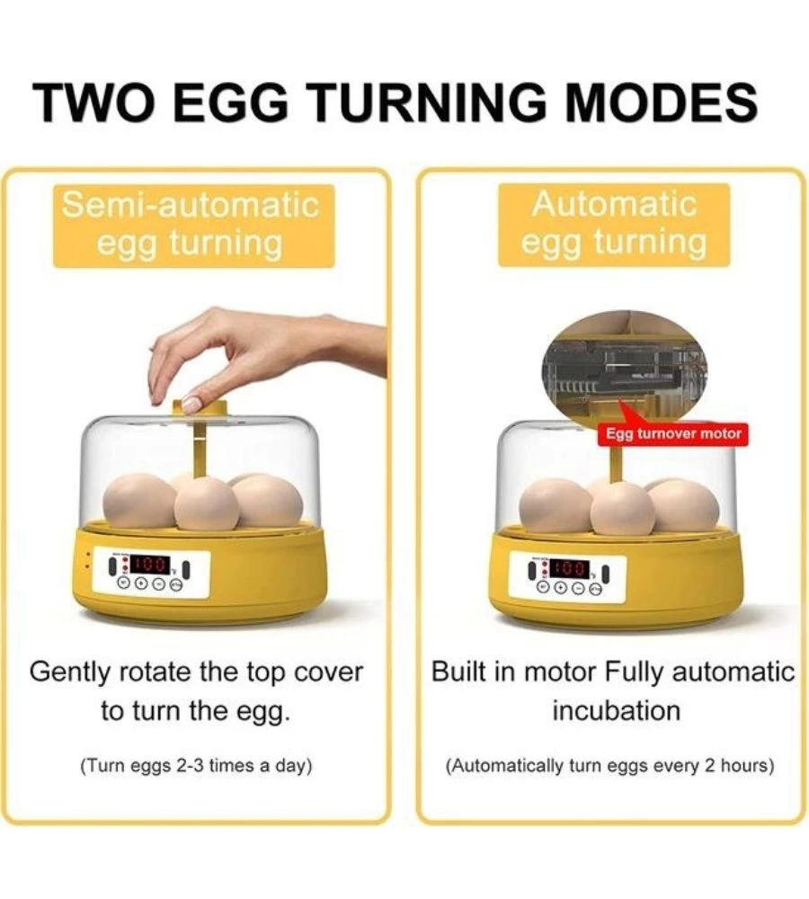 Mini Otomatik Ev Tipi Kuluçka: Elektrikli Tavuk Ve Kuş Kuluçka Makinesi 6 Yumurtalı Mx-6 ( Lisinya )