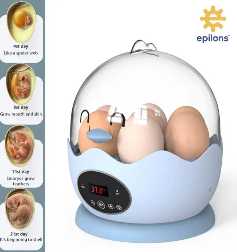 Mini Ev Tipi 7 Yumurtalık Kuluçka Makinesi Epo07 | Yumurta Kuluçka Cihazı ( Lisinya )