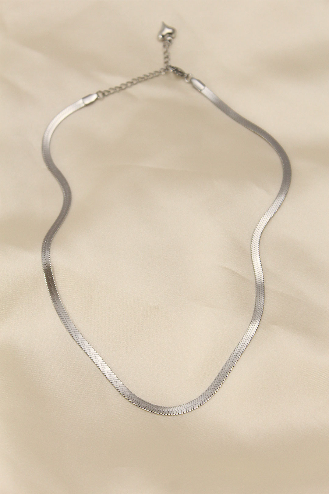316L Çelik Silver Renk 45 cm İtalyan Zincir Model Kadın Kolye - Lisinya