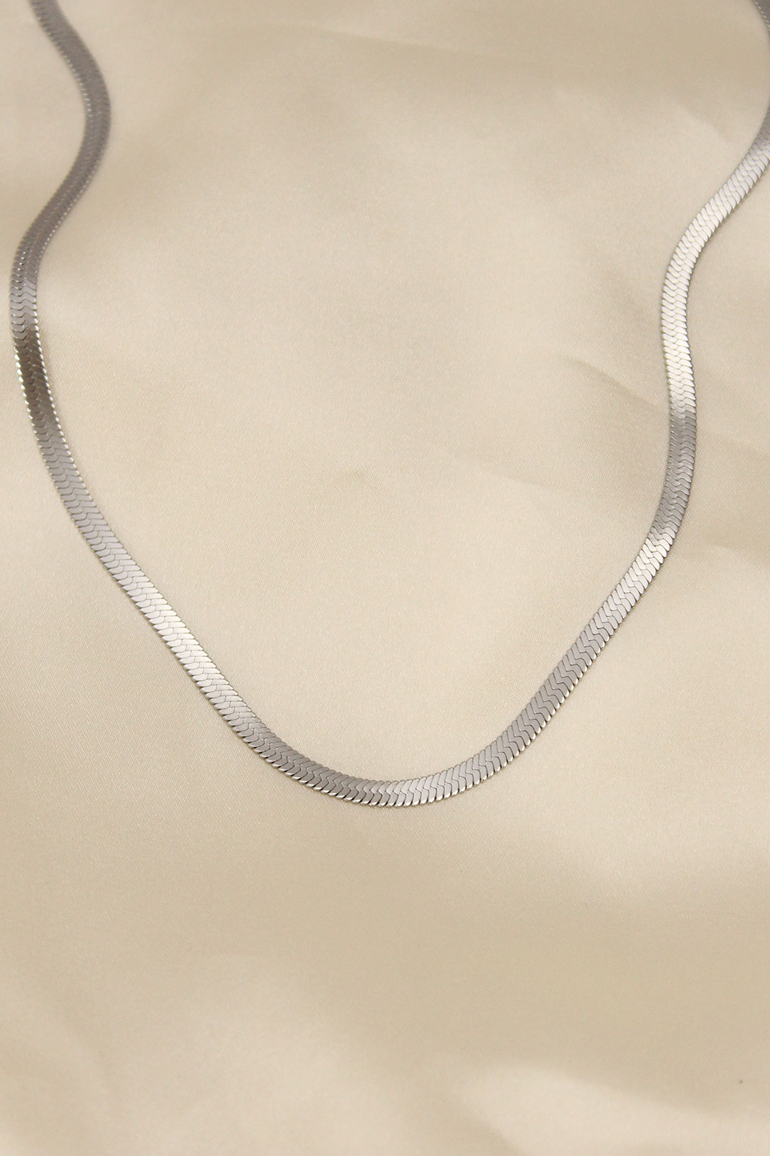 316L Çelik Silver Renk 45 cm İtalyan Zincir Model Kadın Kolye - Lisinya