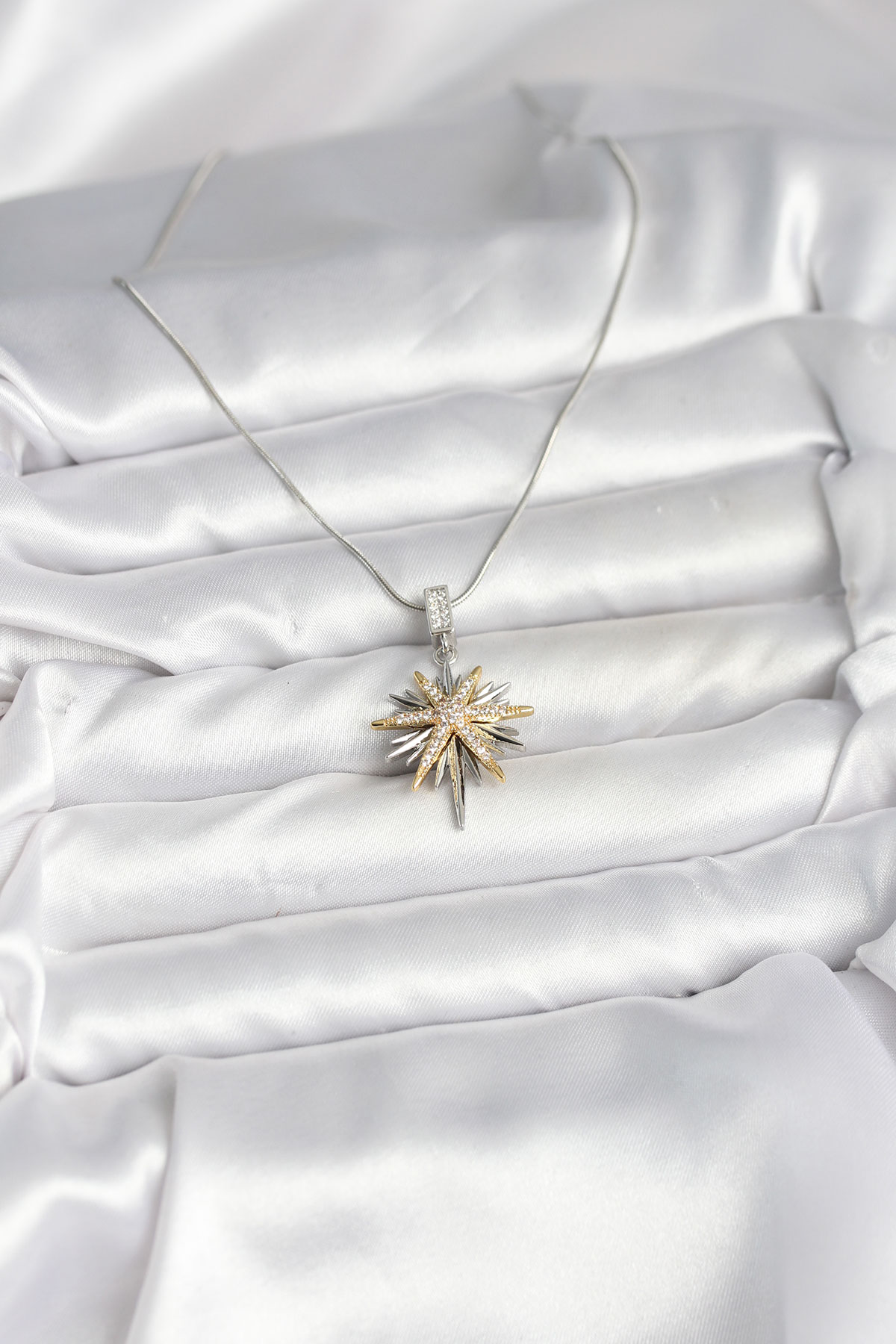 316L Çelik Zincir Gümüş Renk Kutup Yıldızı Model Kadın Kolye - Lisinya