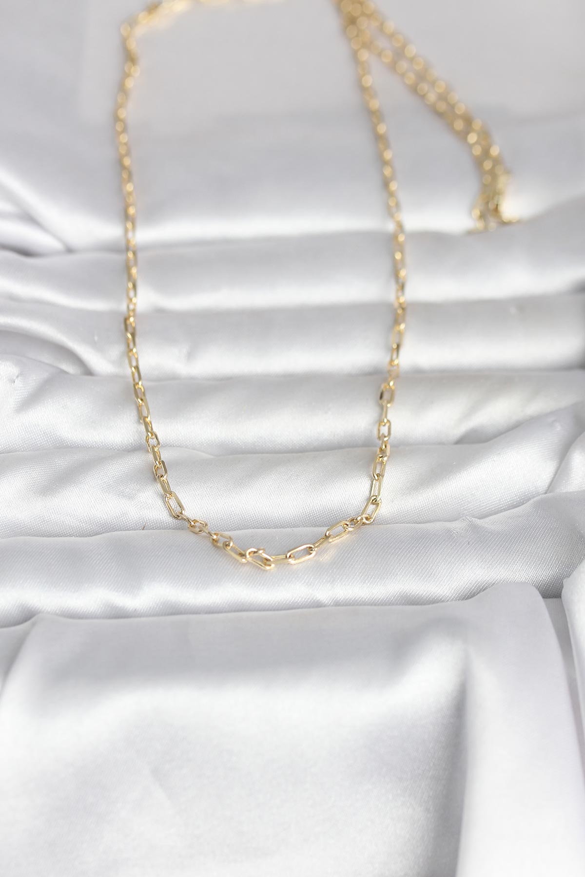 CM 14K Gold Renk Ataç Zincir Model 60 cm Kadın Kolye - Lisinya