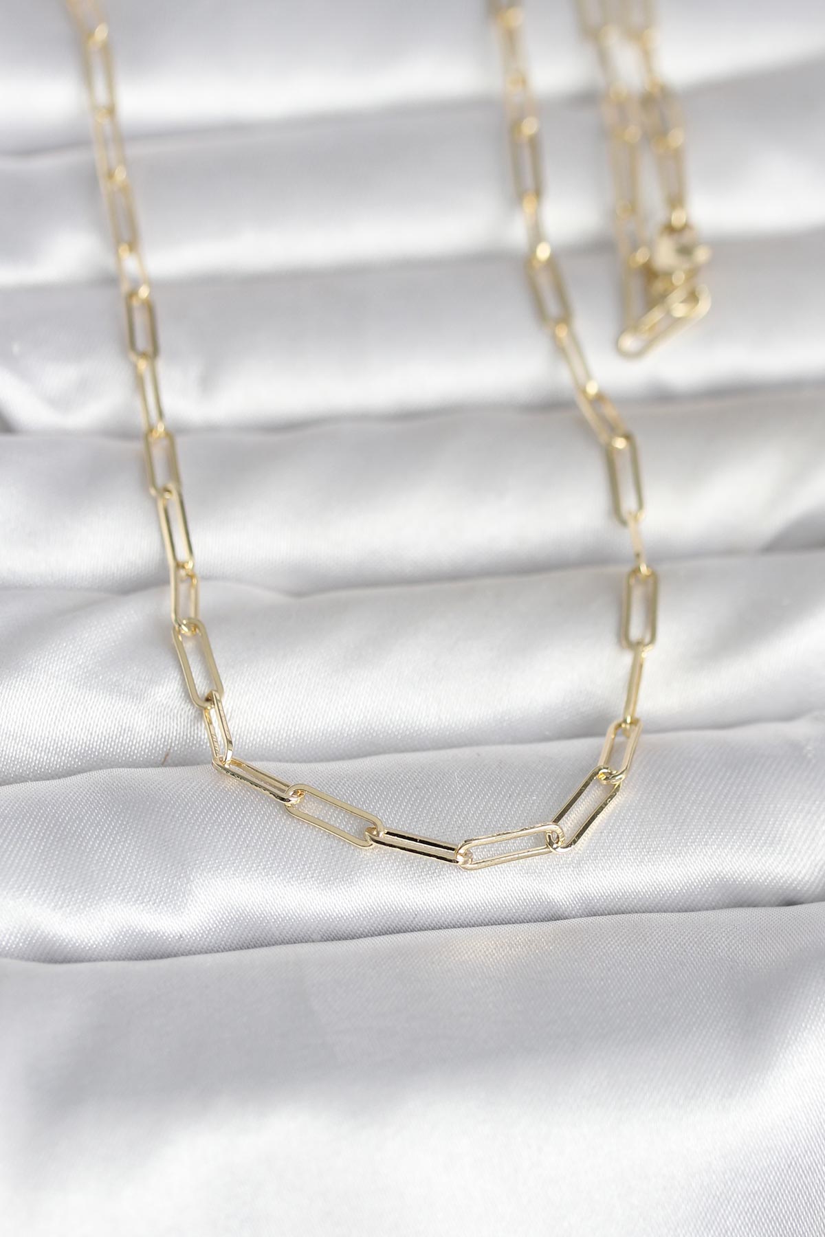 CM 14K Gold Renk Ataç Zincirli Model 60 cm Kadın Kolye - Lisinya