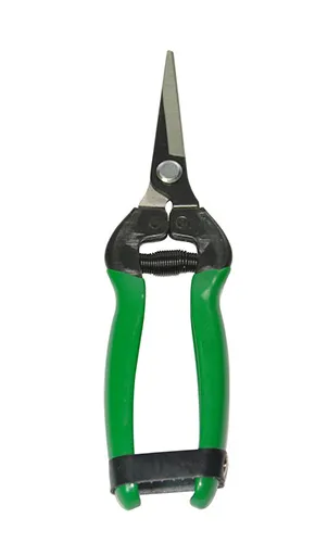 429e2 - Düz Bıçak Narenciye Makası 190 Mm - Lisinya 429e2 - Düz Bıçak Narenciye Makası 190 Mm - Lisinya