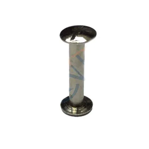 Cilt Menü, Katalog, Kartela Vidası, 20 Mm - Nikel, 1 Adet - Lisinya