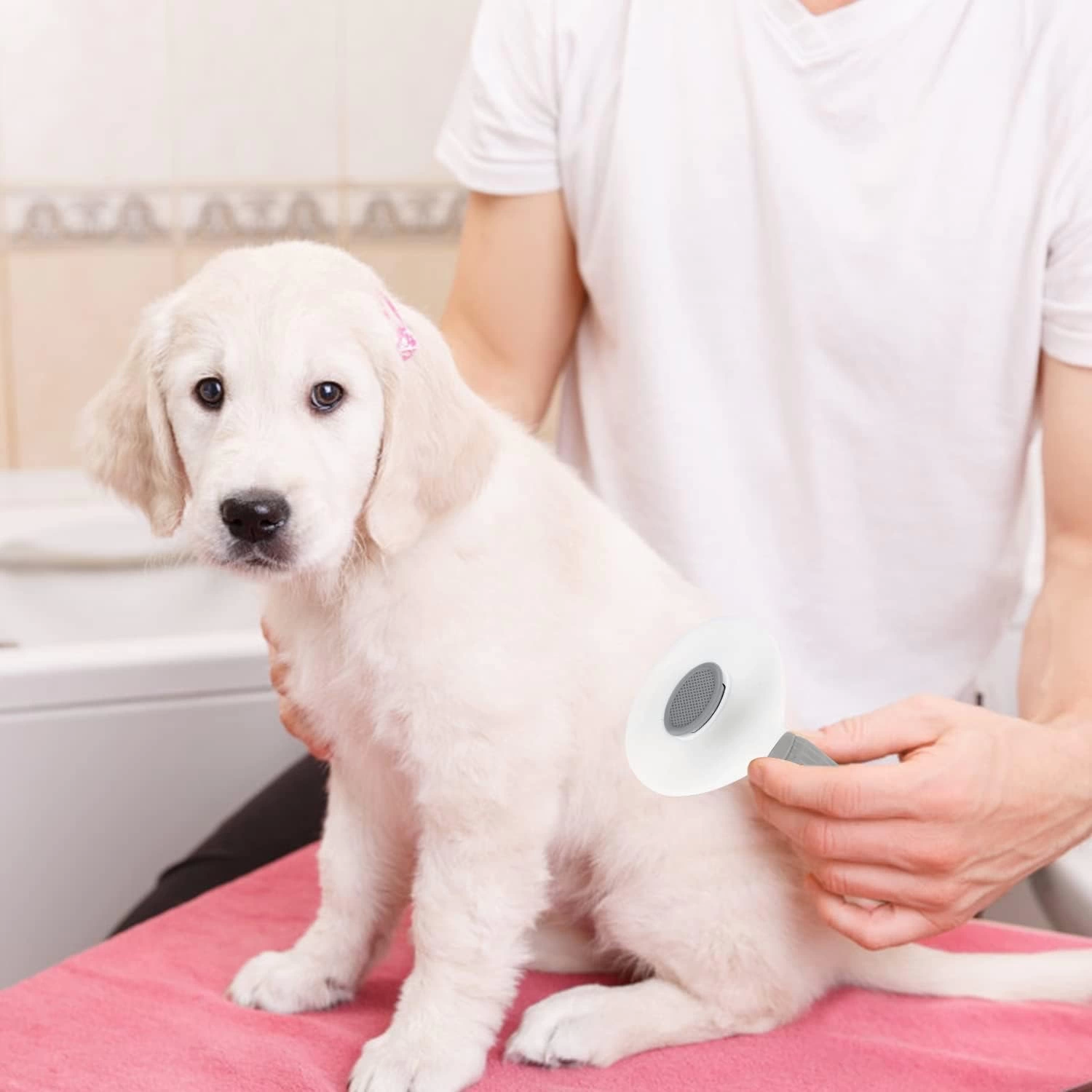 Kedi Köpek Tüy Toplayıcı  Pet Tarak 20 Cm - Lisinya