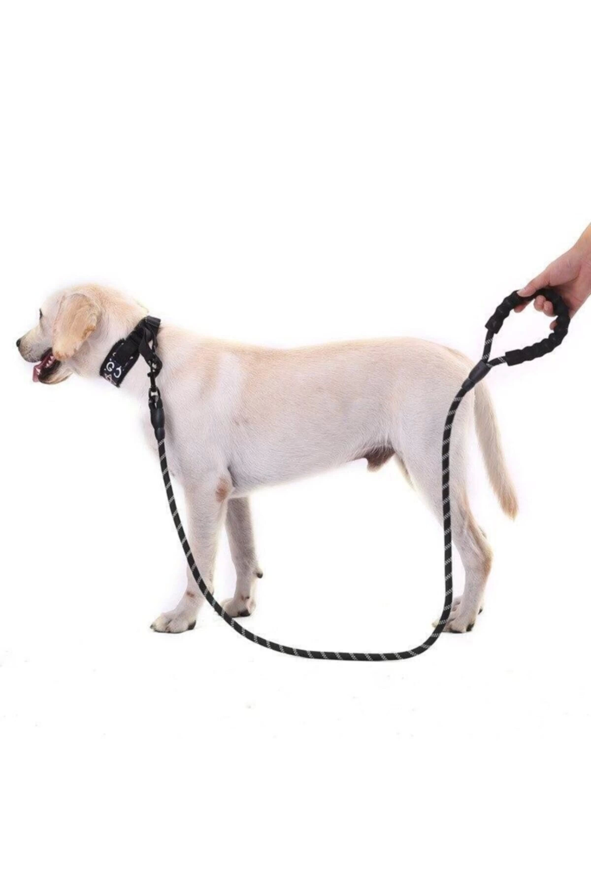 Köpekler İçin Gezdirme Tasması Reflektörlü 130 Cm Halat Orta Ve Büyük Boy Köpekler İçin Siyah - Lisinya Köpekler İçin Gezdirme Tasması Reflektörlü 130 Cm Halat Orta Ve Büyük Boy Köpekler İçin Siyah - Lisinya