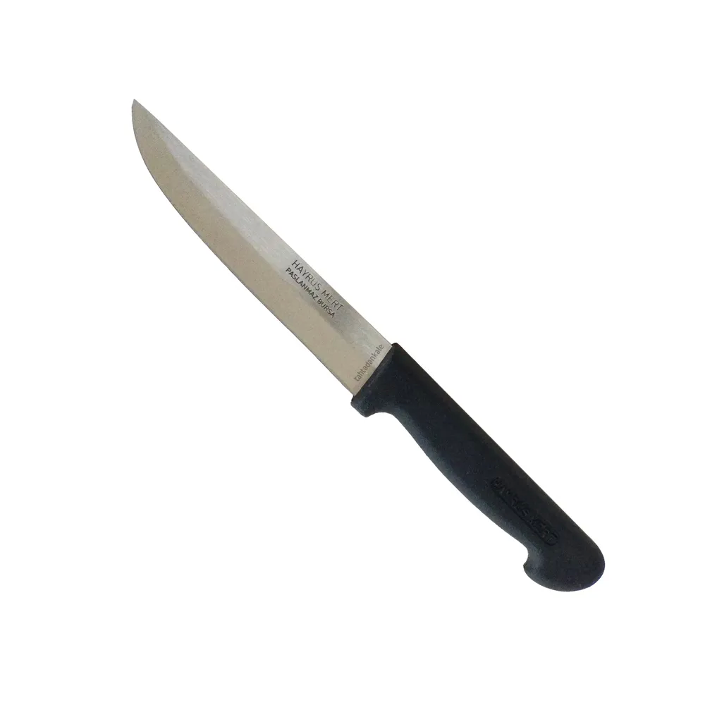 Paslanmaz Bursa Mutfak, Ekmek Bıçağı 15,5 Cm, Plastik Sap - Lisinya Paslanmaz Bursa Mutfak, Ekmek Bıçağı 15,5 Cm, Plastik Sap - Lisinya