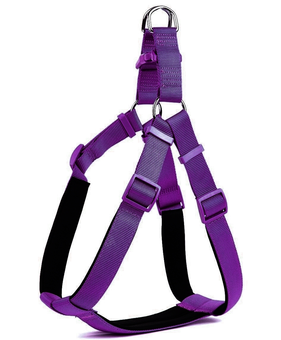 Köpek Bel Tasması 85 cm Mor - Lisinya