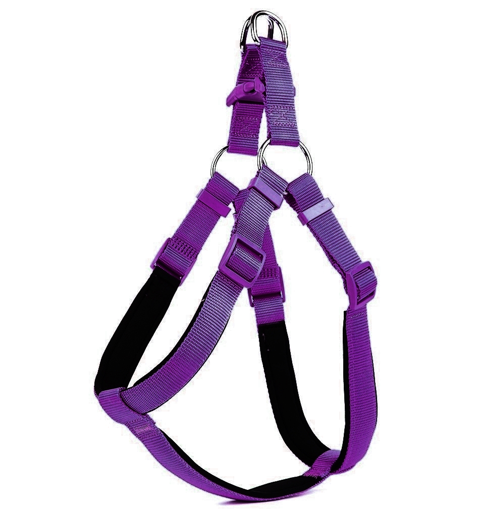 Köpek Bel Tasması 3cm-75 x 85 cm 3X-Large Mor - Lisinya