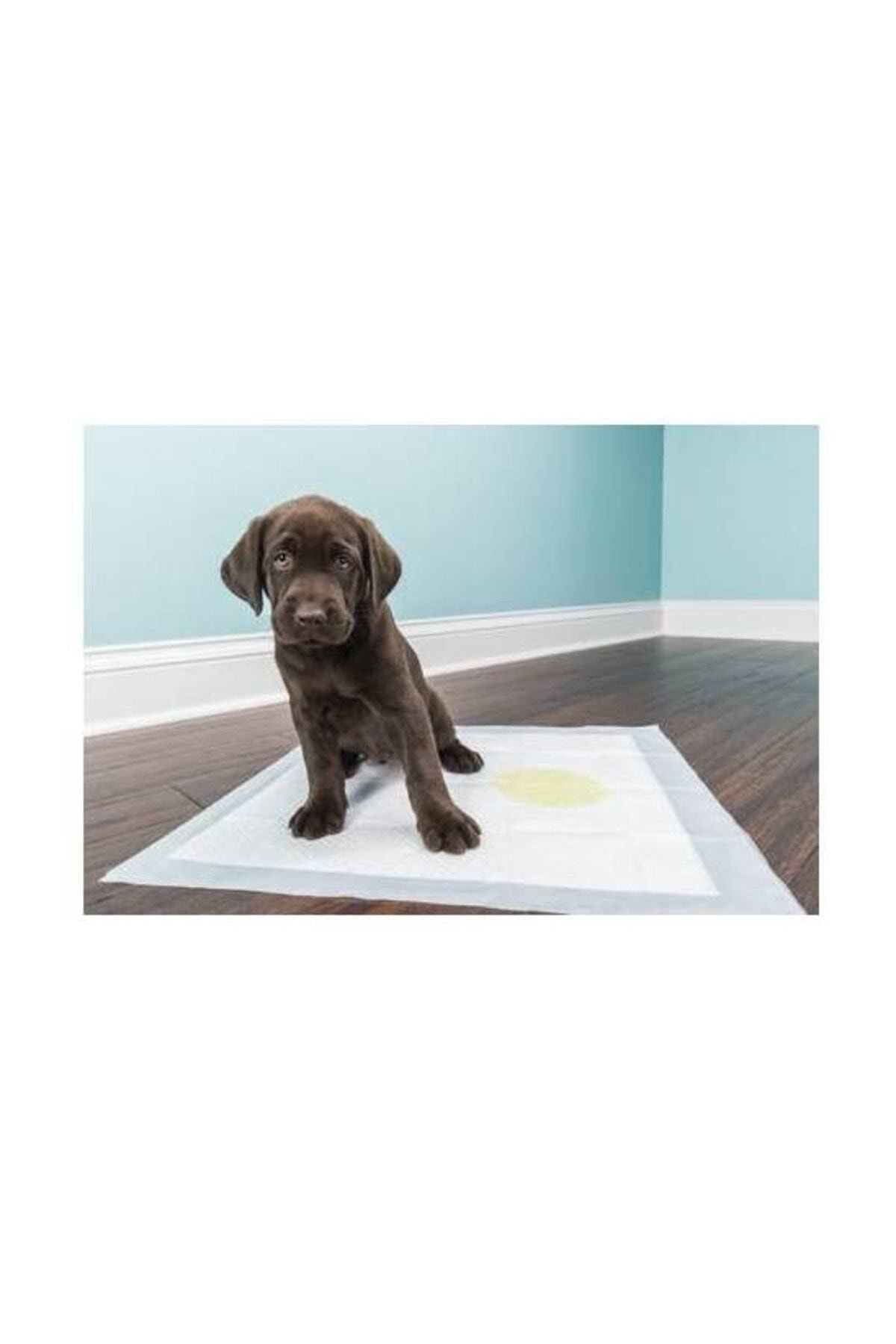 Köpek Tuvalet Çiş Eğitim Pedi 60x90 cm ( 10 Adet ) Köpek Tuvalet Çiş Eğitim Pedi 60x90 cm ( 10 Adet )