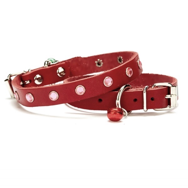 Lisinya205  Taşlı Kedi ve Yavru Köpek Tasması 1,0x19 cm Kırmızı Small