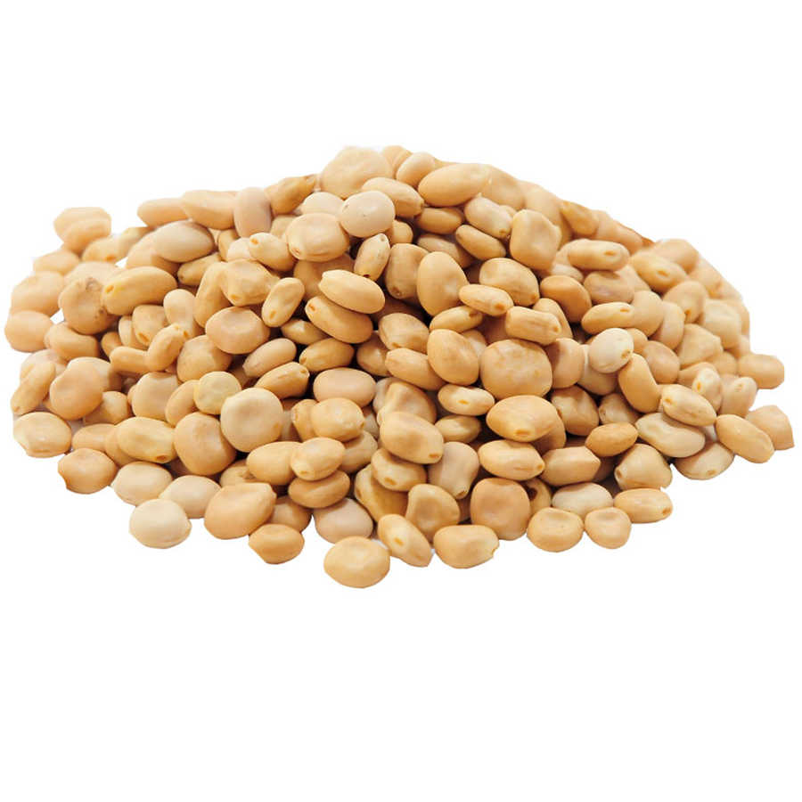 Lisinya214 Acı Bakla Tohumu Yahudi Baklası Doğal 50 Gr Paket
