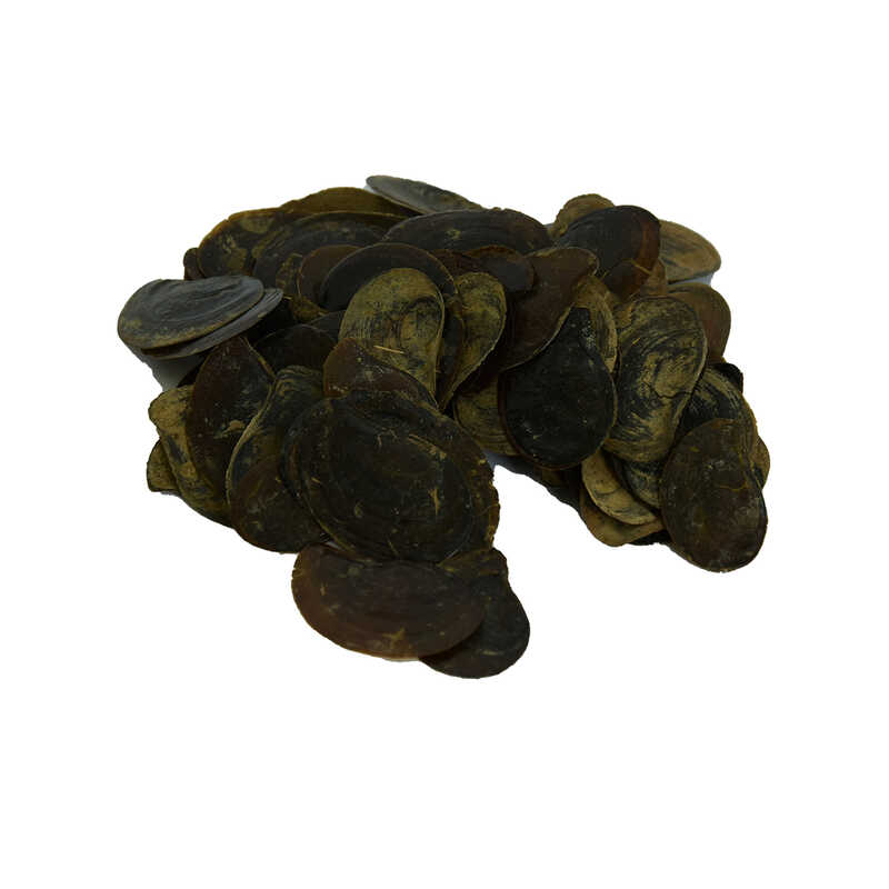 Cin Tırnağı 100 Gr Paket - Lisinya
