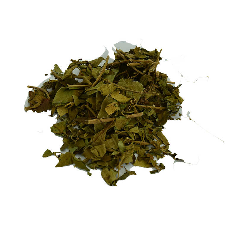 Cinnema Gurmar Otu Gymnema Sylvestr 100 Gr Paket - Lisinya