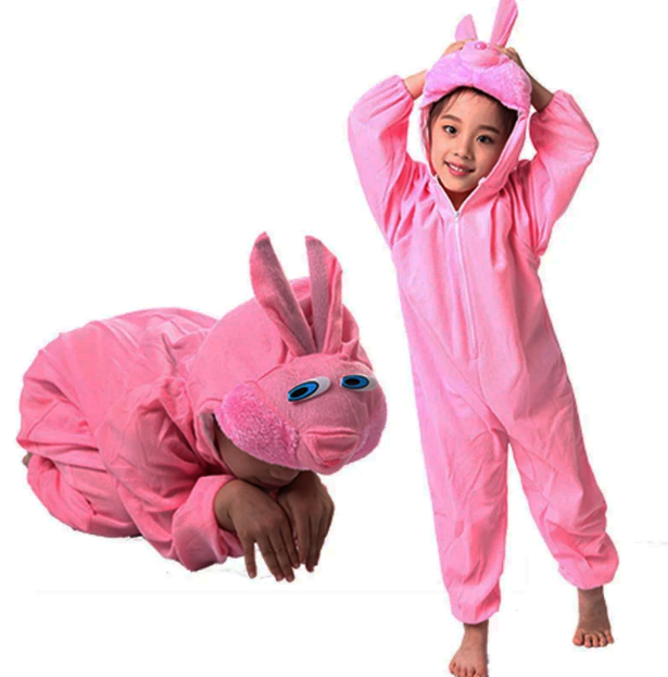 Çocuk Tavşan Kostümü Pembe Renk 2-3 Yaş 80 cm (Lisinya)