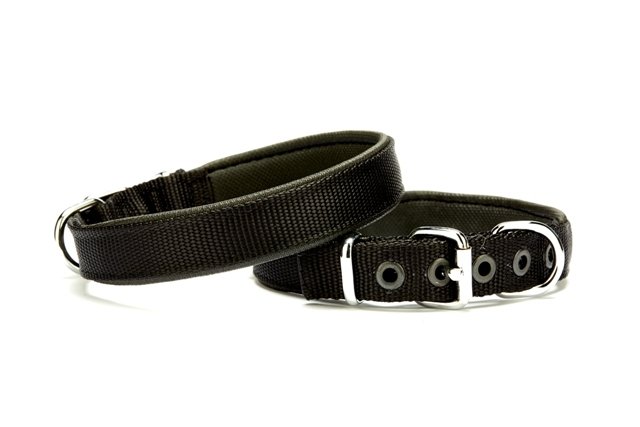 Dokuma Softlu Köpek Boyun Tasması 2 cm x 45 cm Siyah - Lisinya