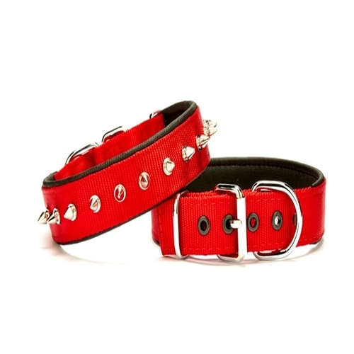 Lisinya205  Çivi Desenli Köpek Tasması 3*65 cm Kırmızı