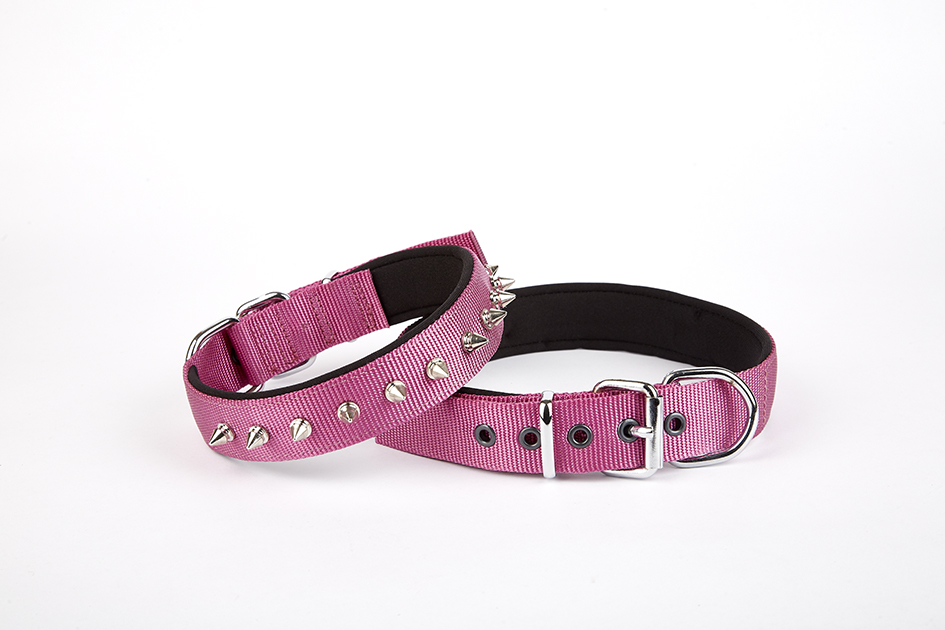 Lisinya205  Çivi Desenli Köpek Tasması 2,5*60 cm Mor