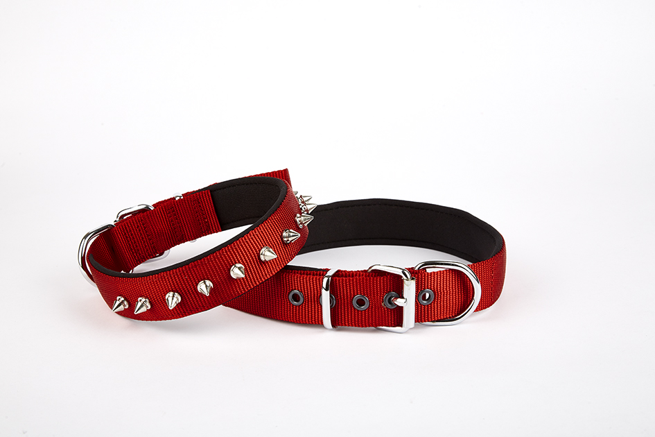 Lisinya205  Çivi Desenli Köpek Tasması 2,5*60 cm Kırmızı