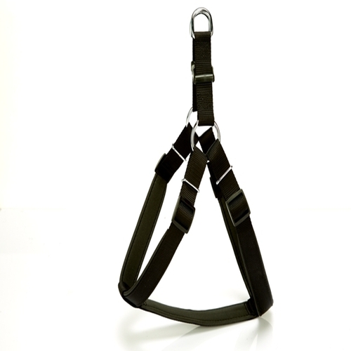 Köpek Bel Tasması 70cm Large Siyah - Lisinya