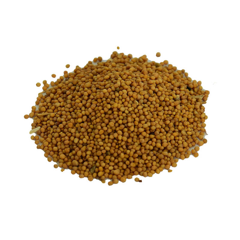 Hardal Tohumu Tane Doğal Sarı 100 Gr Paket - Lisinya