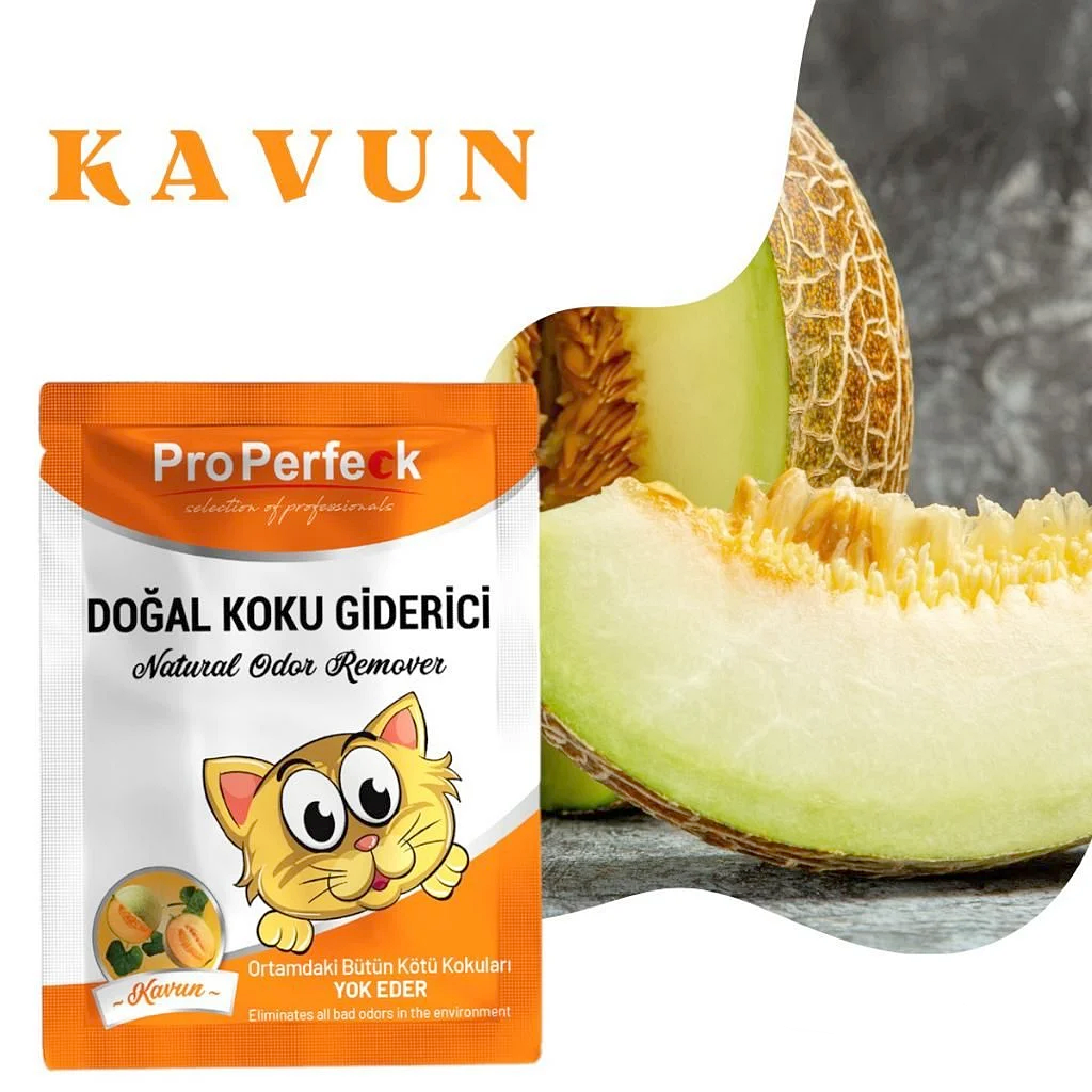 Lisinya205 Pro Perfeck Kavun Kokulu Koku Giderici 25 gr