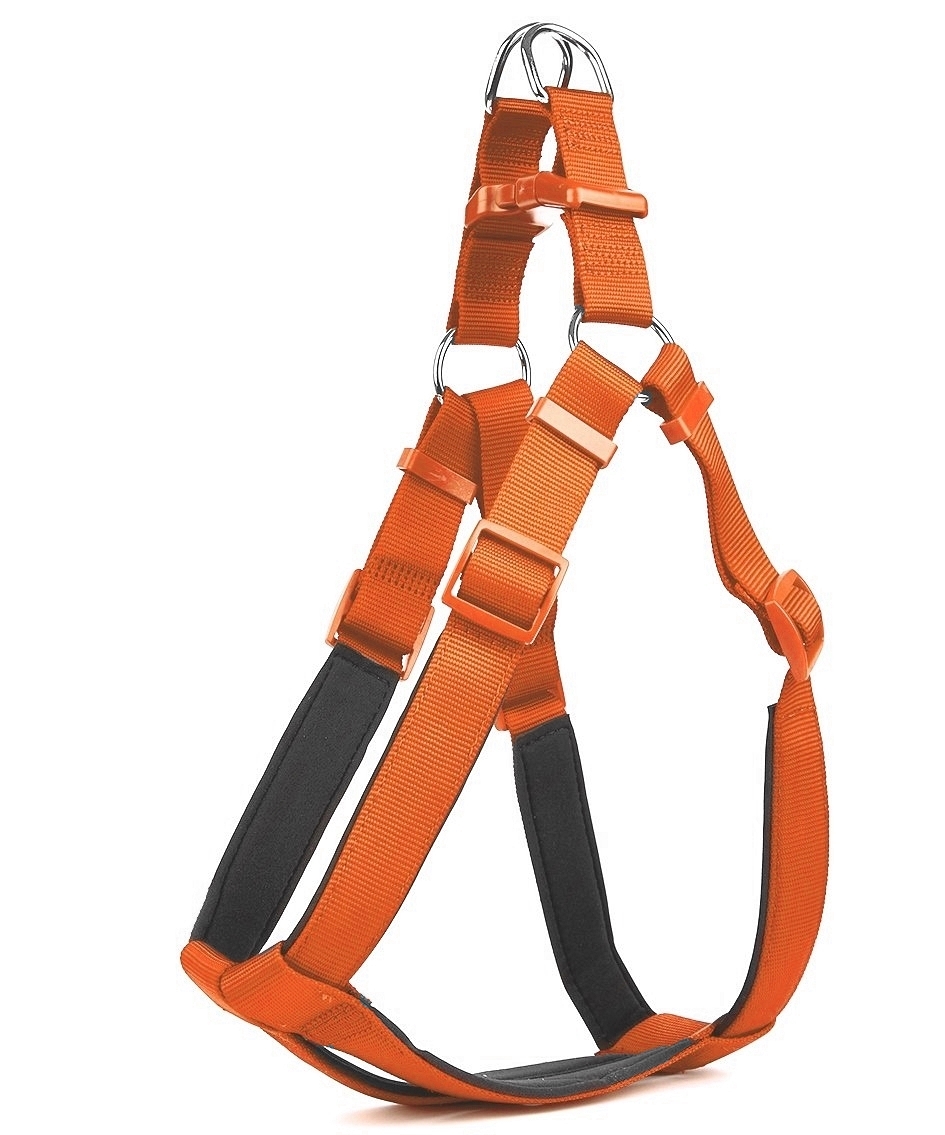 Köpek Bel Tasması 95cm XX-Large Tcu - Lisinya