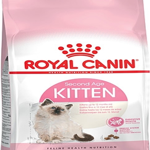 36 Yavru Kedi sı 2 KG 36 Yavru Kedi sı 2 KG